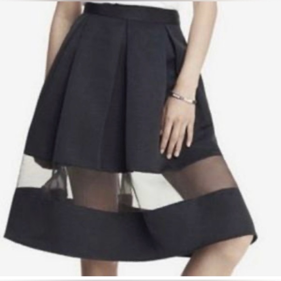 DONATED! Express High Waisted Inset Pleated Skirt - Picture 7 of 11